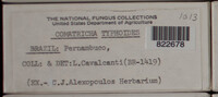 Image Associated With the Occurence